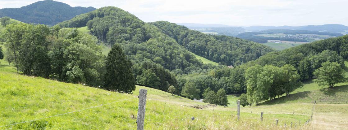 Blick auf Hof Lostel im Baselbiet